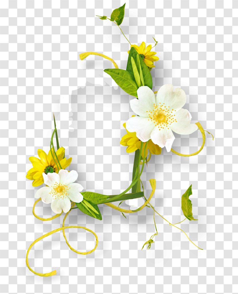 Floral Design Clip Art Image Download - Branch - Flower Transparent PNG