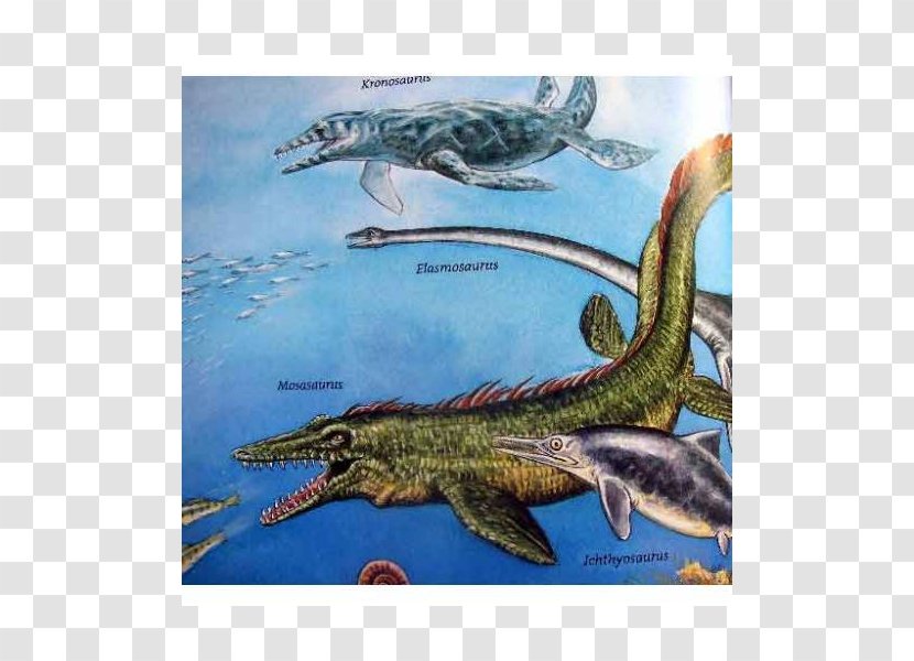 Fauna Ecosystem Dinosaur Fish - Reptile Transparent PNG