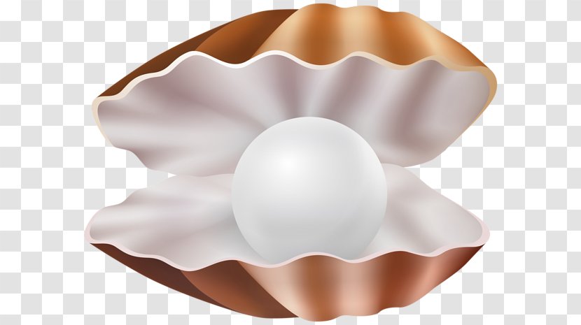 Book Drawing - Tableware Egg Transparent PNG