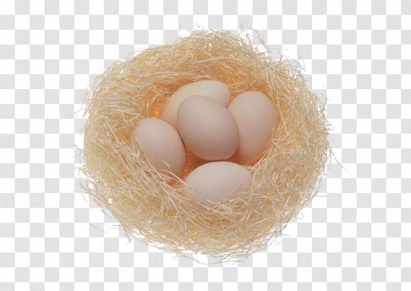 Fried Egg Chicken Scrambled Eggs - Nutrition - Nest Transparent PNG