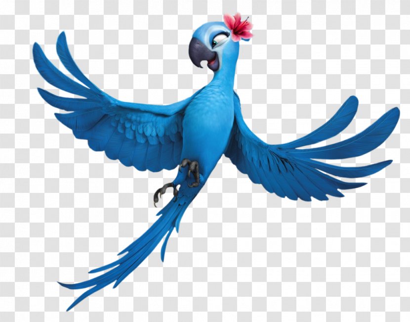 Blu Rio Film Comedy Animation - Cartoon Parrot Transparent PNG