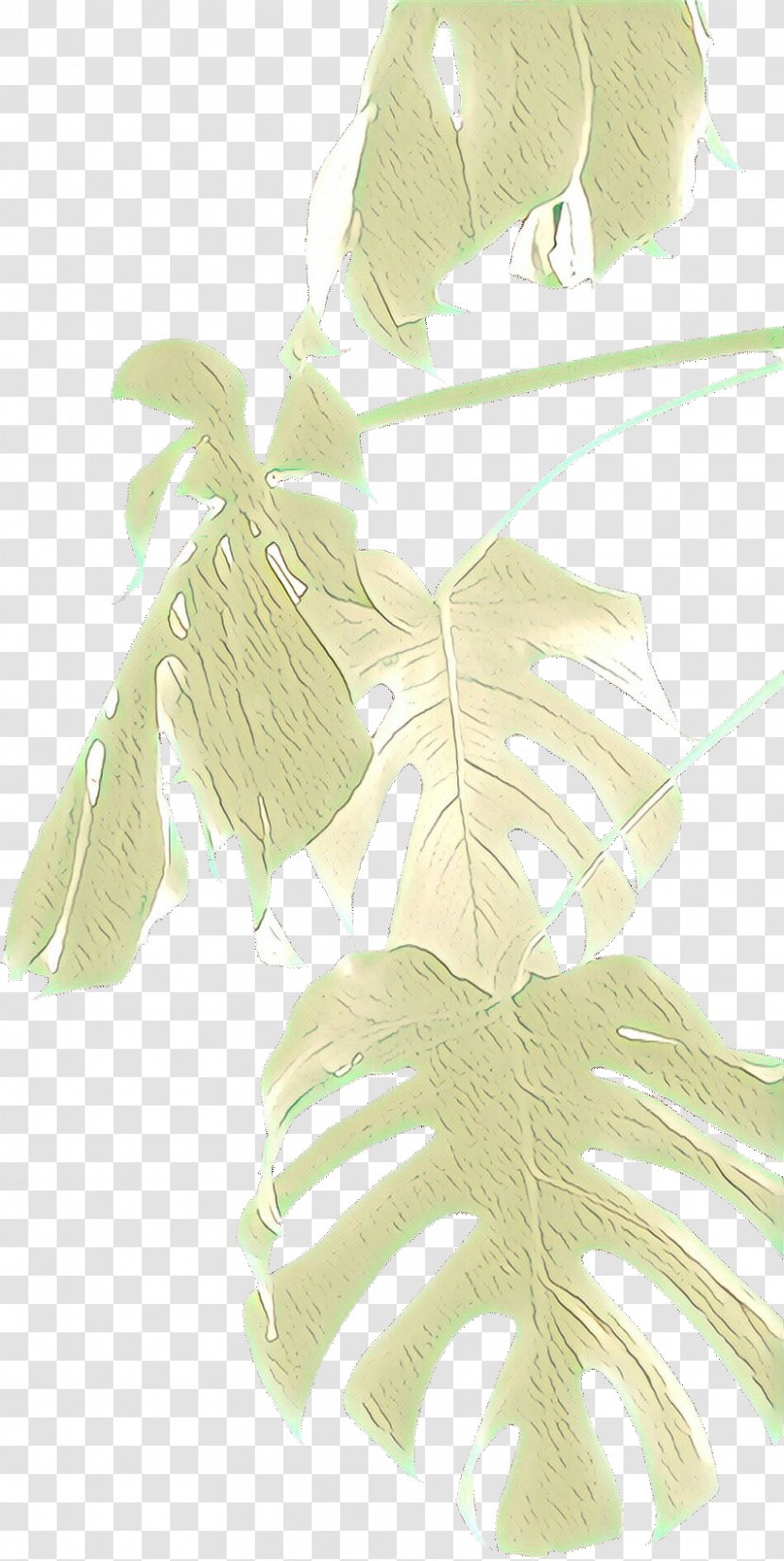 Banana Leaf - Feather - Anthurium Flower Transparent PNG