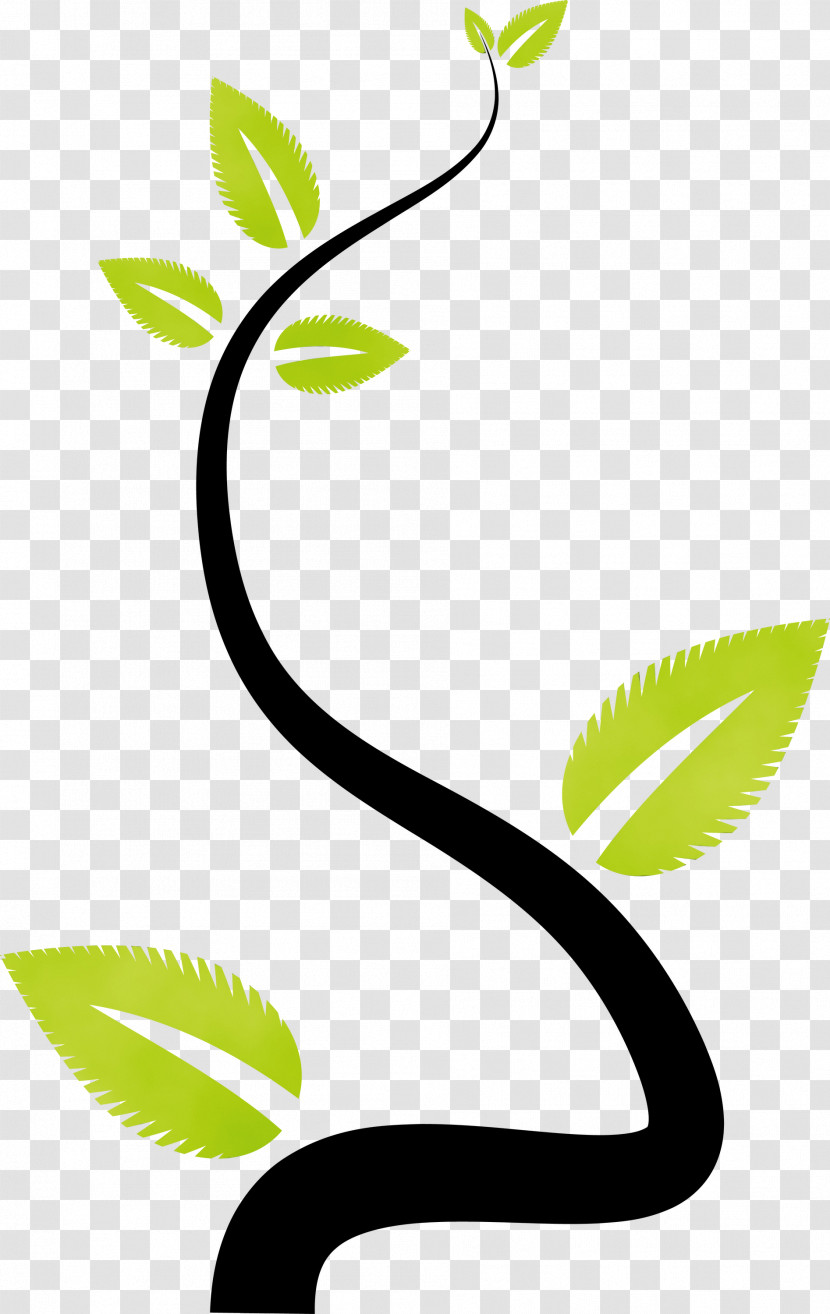 Plant Stem Leaf Green Flower Line Transparent PNG