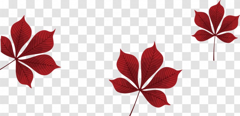 Petal Red Leaf Pattern - Leaves Vector Transparent PNG