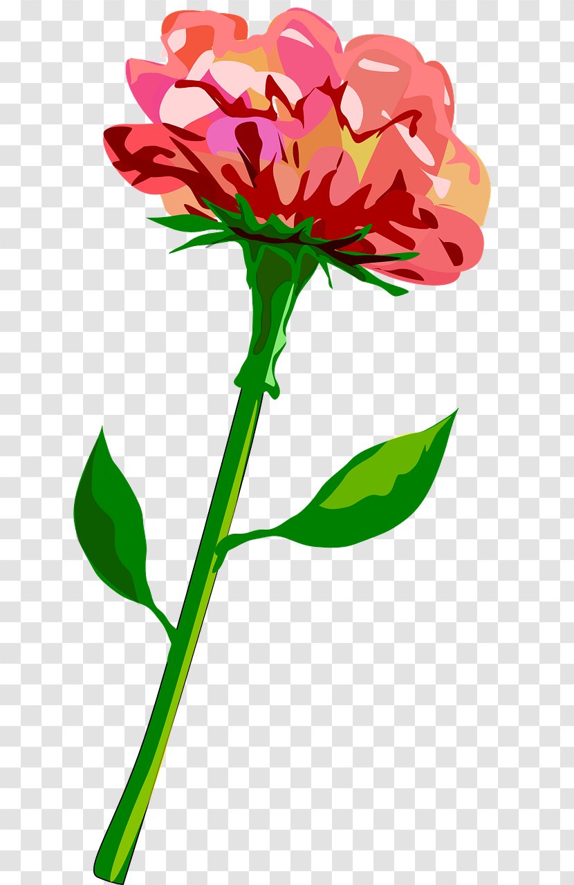 Clip Art Plant Stem Flower Red Transparent PNG