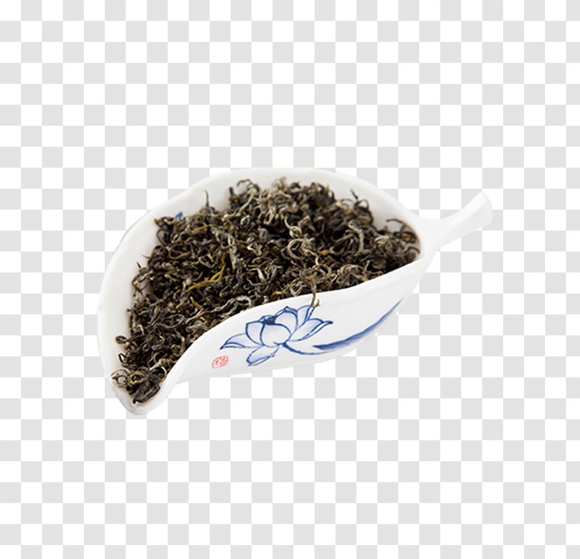 Nilgiri Tea Oolong Smoking - Google Images Transparent PNG