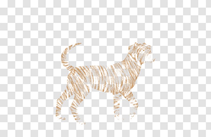 Big Cat Tiger Dog Canidae - Fur Transparent PNG