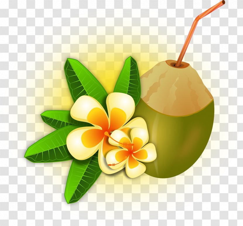 Cocktail Smoothie Coconut Water Clip Art - Flowerpot - Aloha Transparent PNG