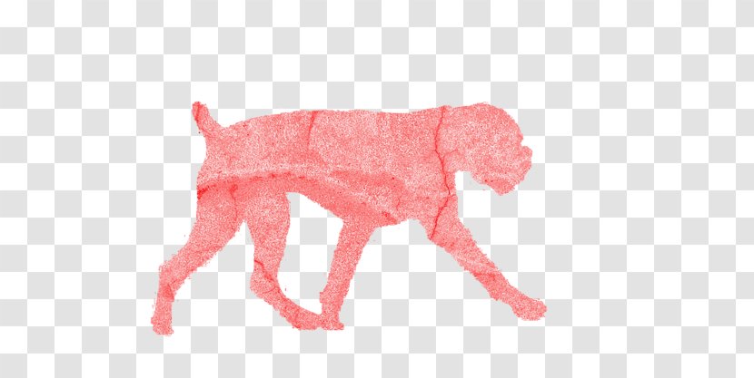 Dog Breed Snout Clothes Crossbreed - Like Mammal - Red Transparent PNG