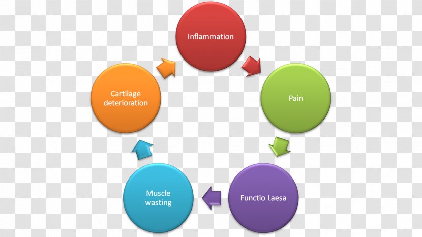 Lean Six Sigma Manufacturing Organization Continual Improvement Process - Cycle Transparent PNG