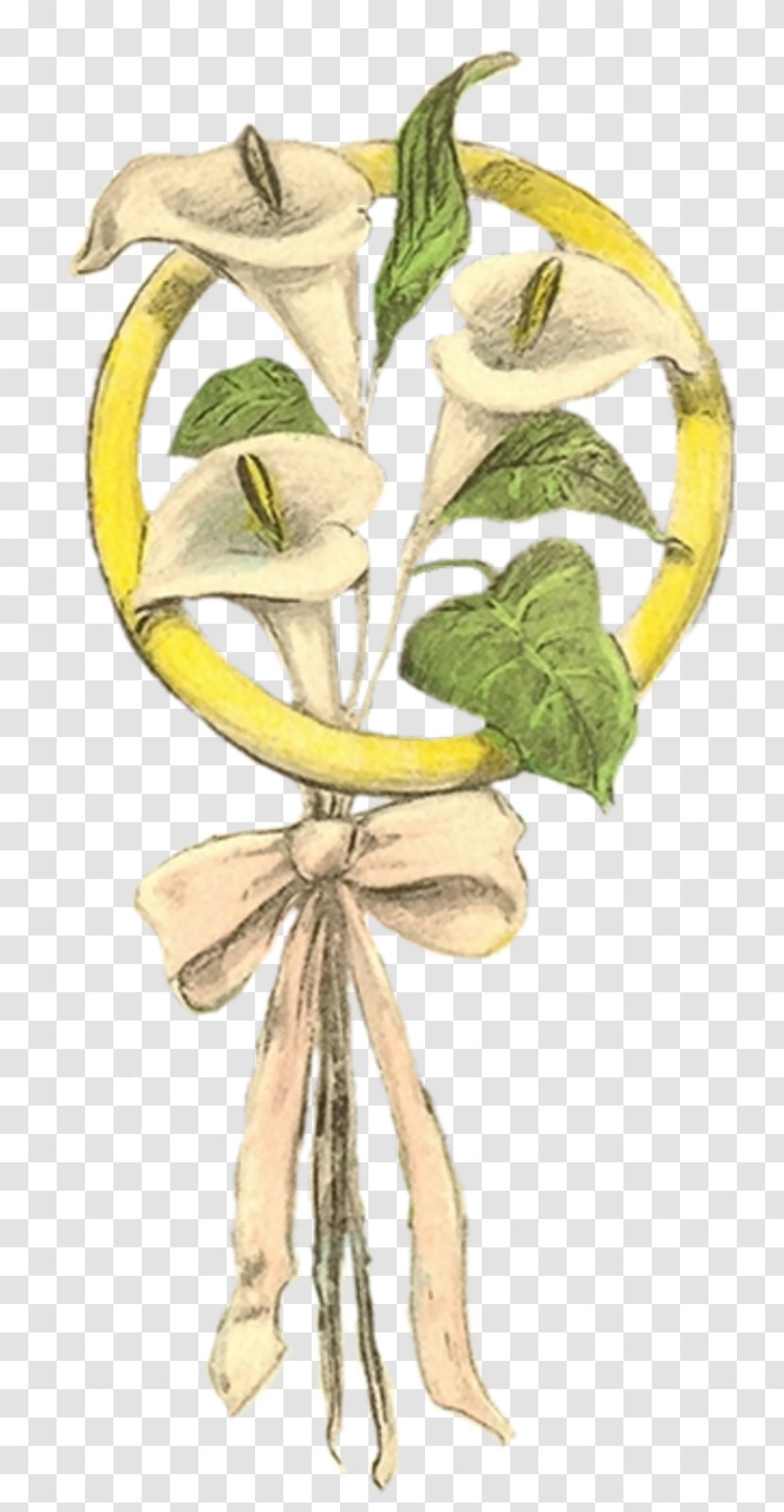 Illustration Plant Stem Flower Character Fruit Transparent PNG