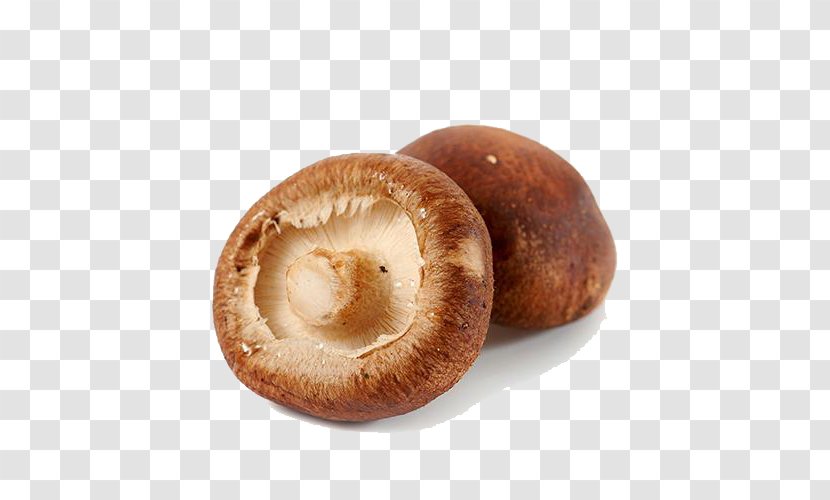 Shiitake Malatang Mushroom Lenthionine - Silhouette - Organic Mushrooms Transparent PNG