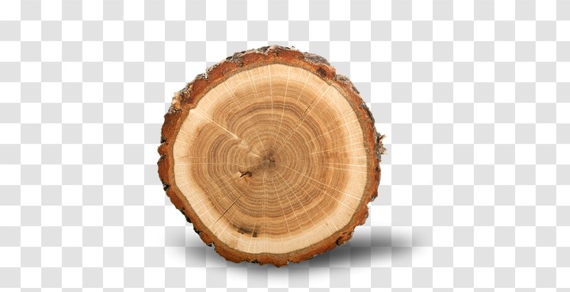 Wood Royalty-free Stock Photography - Royalty Payment - Tree Ring Transparent PNG