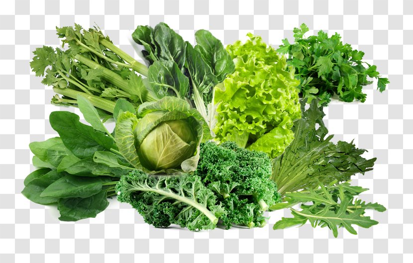 Parsley Lettuce Vegetable Food Health - Heart Transparent PNG