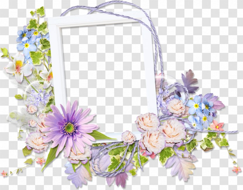 Flower Picture Frames Garden Roses - Cut Flowers - Butterfly Frame Transparent PNG