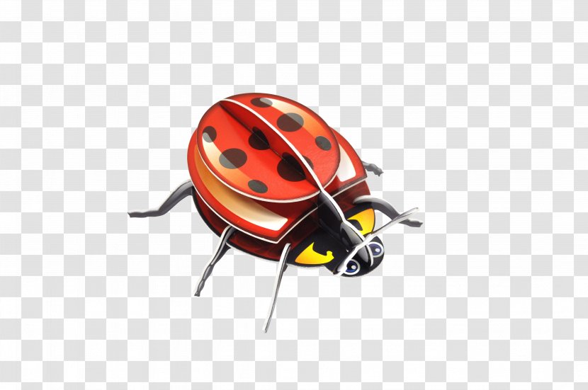 Ladybird Beetle Insect Three-dimensional Space Animal Paper Transparent PNG