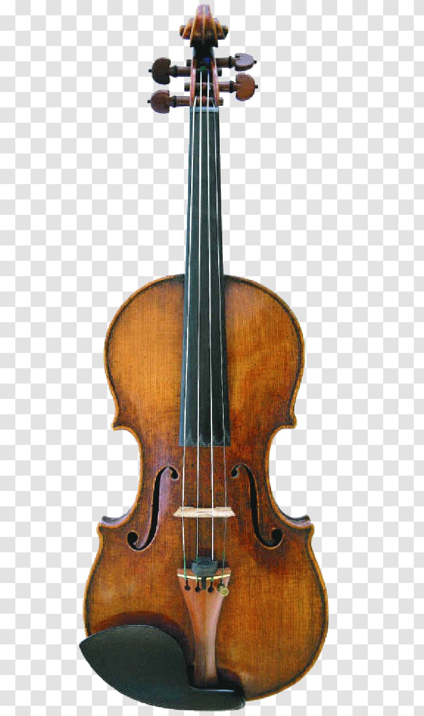 Cremona Lady Blunt Stradivarius Violin Musical Instruments - String Instrument Transparent PNG