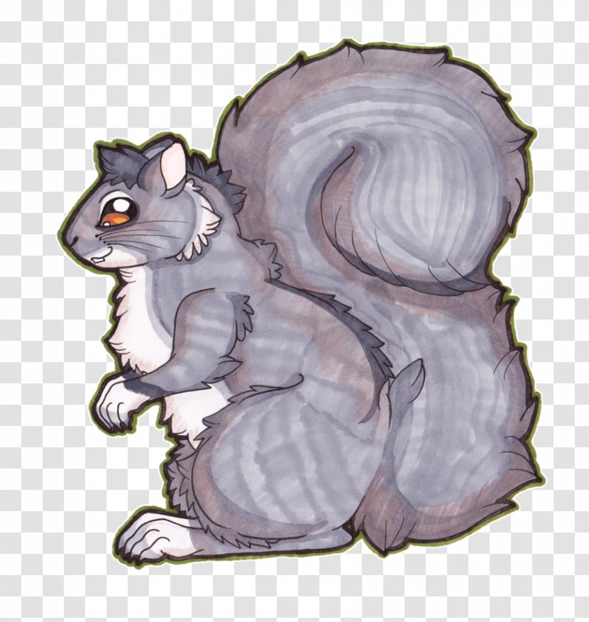 Whiskers Cat Squirrel Computer Mouse Illustration - Tail - Grey Transparent PNG