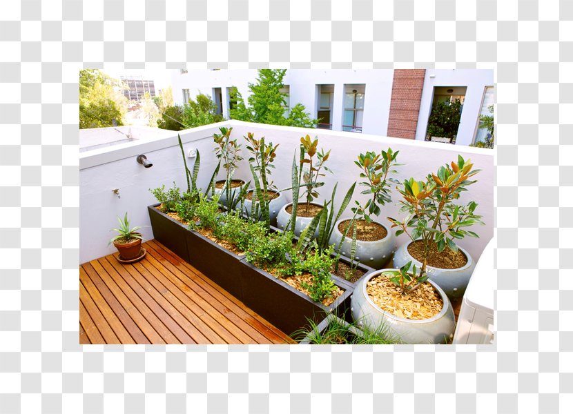 Terrace Garden Roof Design - Balcony Transparent PNG
