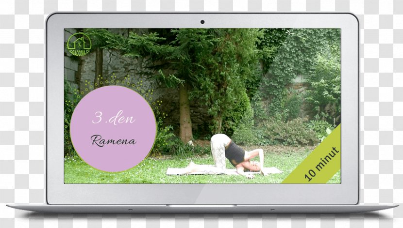 Video Yoga Multimedia Television Exercise - Grass Transparent PNG
