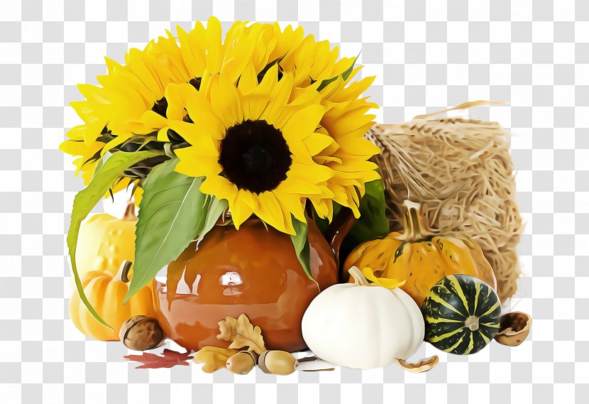 Sunflower - Seed Vegetarian Food Transparent PNG