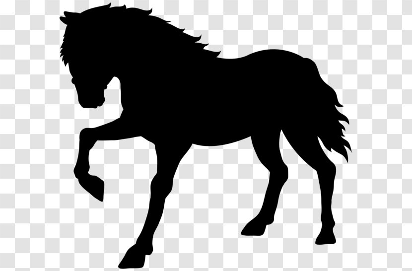 Horse Drawing Silhouette Clip Art Transparent PNG