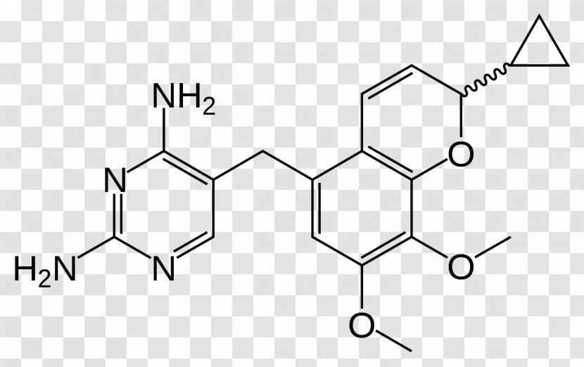 Trimethoprim/sulfamethoxazole Dihydrofolate Reductase Diaminopyrimidine Pyrimethamine - Flower - Cartoon Transparent PNG