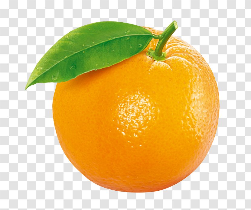 Tangerine Clementine Orange Fruit - Citric Acid Transparent PNG