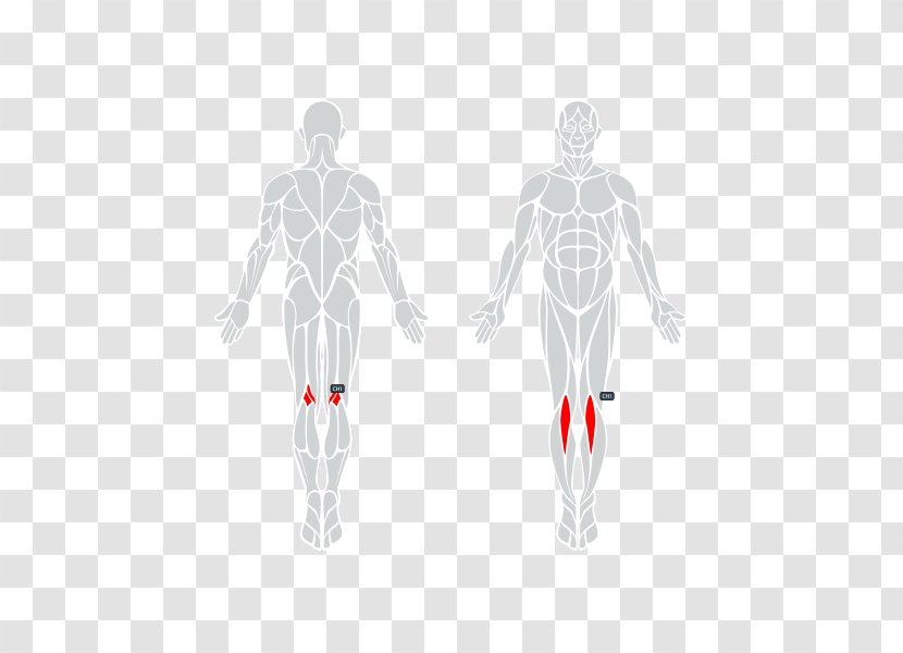 Hand Iliotibial Band Syndrome Tract Human Body - Watercolor - Knee Pain Transparent PNG