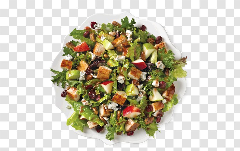 Chicken Salad Caesar Fast Food Wrap Wendy's - Eating - Healthy Transparent PNG