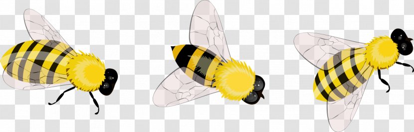 Insect Apidae Clip Art - Pollinator - Bee Transparent PNG