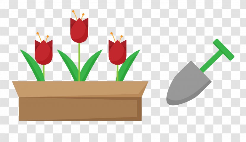 Grow Vegetables - Flower - Vector Red Tulip Flowers Transparent PNG