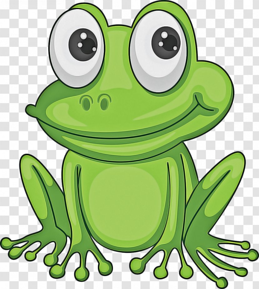 Frog Green True Hyla Tree - Gray Treefrog - Cartoon Shrub Transparent PNG