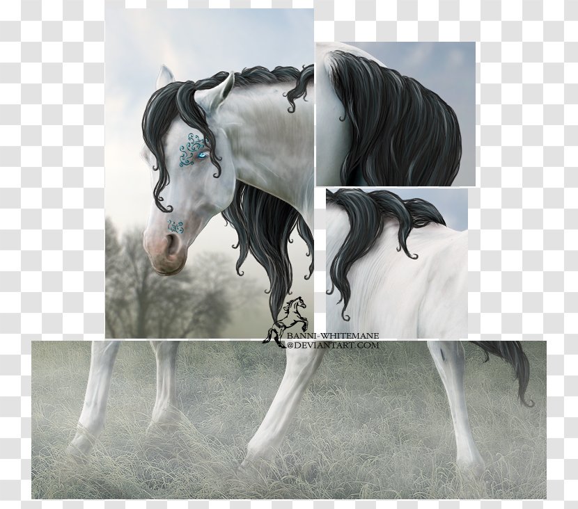 Stallion Mustang Halter Mare Mane - Horse Transparent PNG