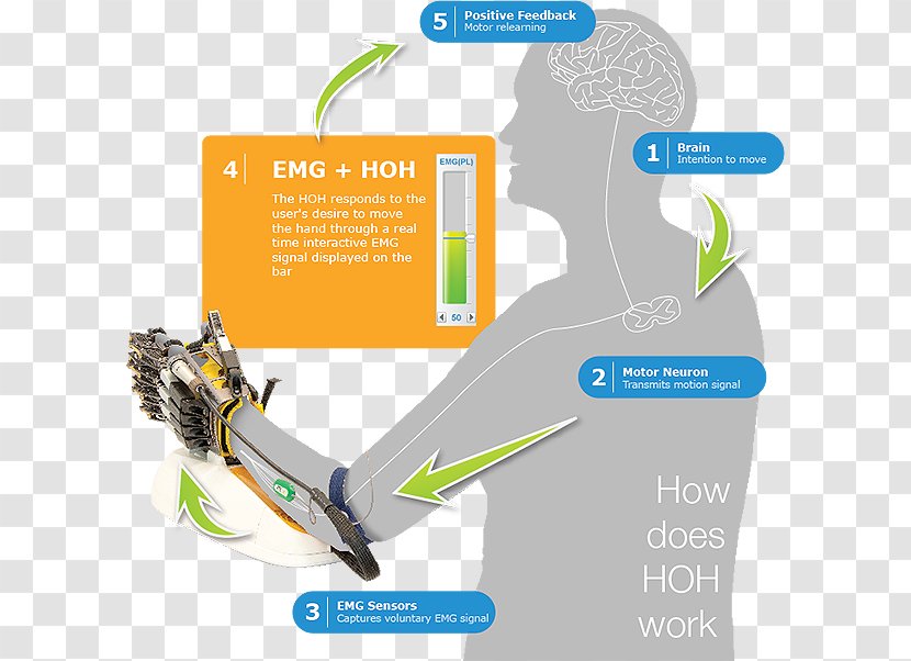 Rehabilitation Robotics Electromyography Powered Exoskeleton - Communication - Robot Transparent PNG