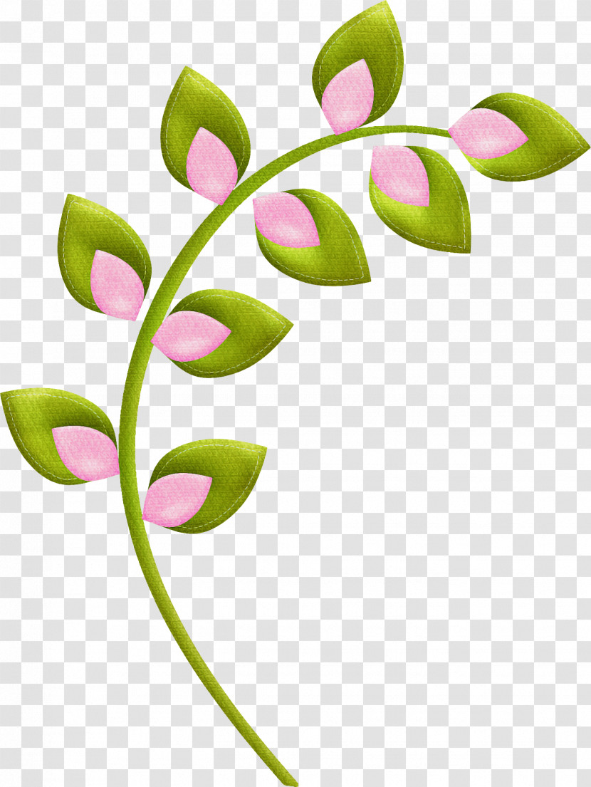 Flower Plant Leaf Pedicel Plant Stem Transparent PNG