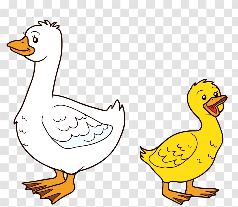 American Pekin Duck Goose Illustration - Organism - And Transparent PNG