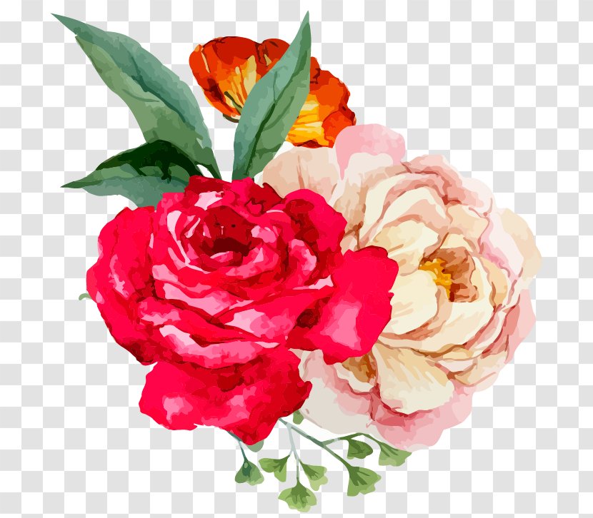 Garden Roses Floral Design Watercolor Painting Flower - Rosa Centifolia - Marriage Proposal Transparent PNG