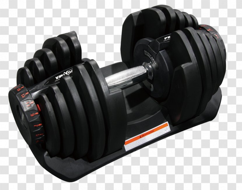 Dumbbell Exercise Machine Kettlebell Barbell Artikel - Weights Transparent PNG