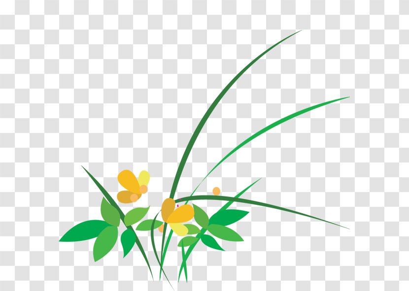 Flower - Point - Grass Transparent PNG