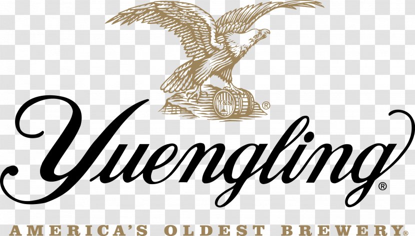 Yuengling Traditional Amber Lager Logo Beer Transparent PNG
