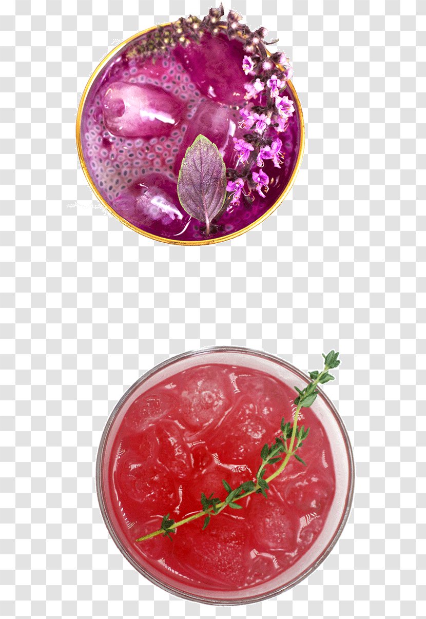 Snake Oil Cocktail Company Drink Food Catering - Pitaya Transparent PNG