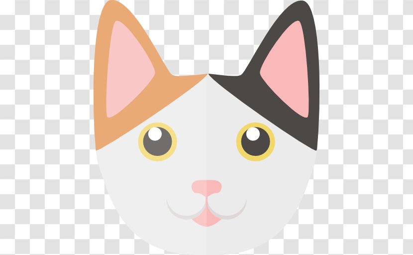 Japanese Bobtail American Exotic Shorthair Sphynx Cat - Kitty Vector Transparent PNG