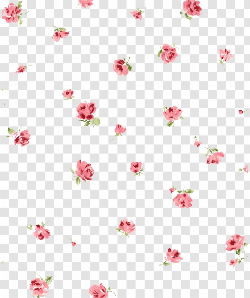 Flower Red Wallpaper - Petal - Creative Floral Transparent PNG