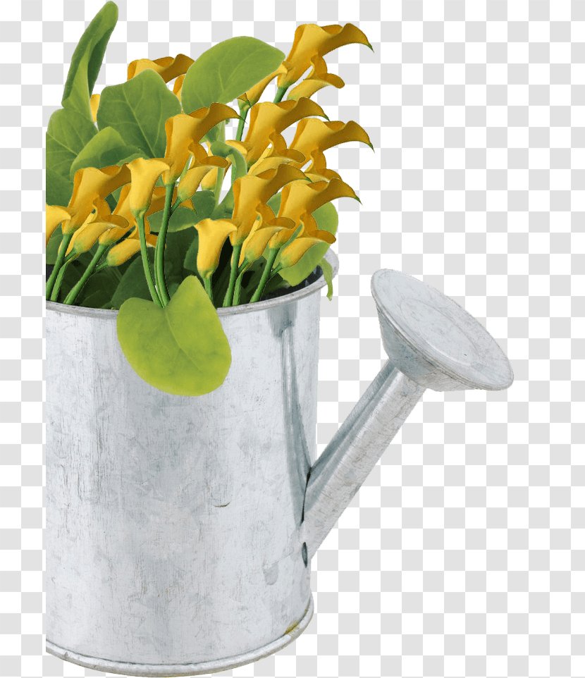 Tempe Scottsdale Chandler Landscape Maintenance Gilbert - Watering Can - Flowerpot Transparent PNG