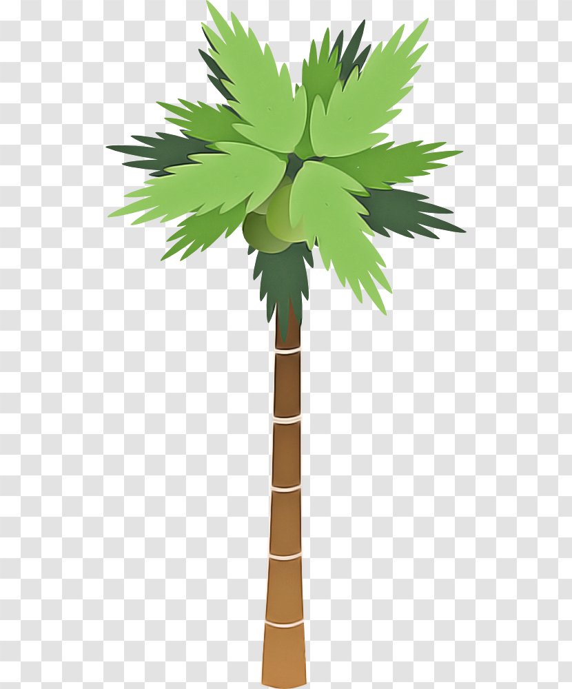 Palm Tree - Leaf - Plant Stem Desert Transparent PNG