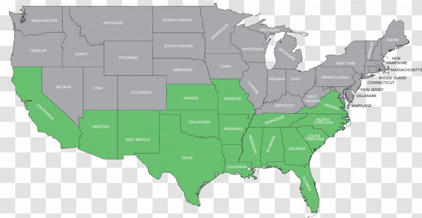 United States Bed Bug Bite Map Infestation - Road Transparent PNG