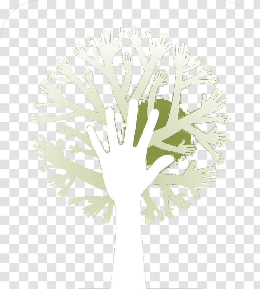 Tree Illustration - Grass - Material Palm Transparent PNG