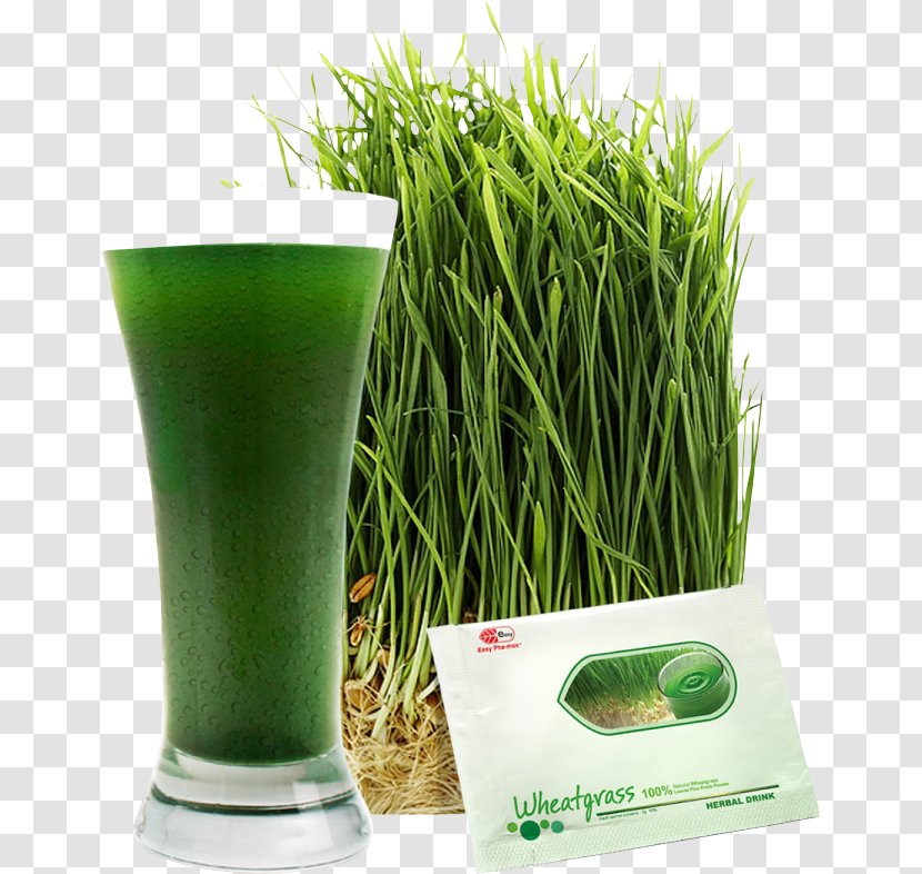 Wheatgrass Health Shake Juice Dietary Supplement - Plant Transparent PNG