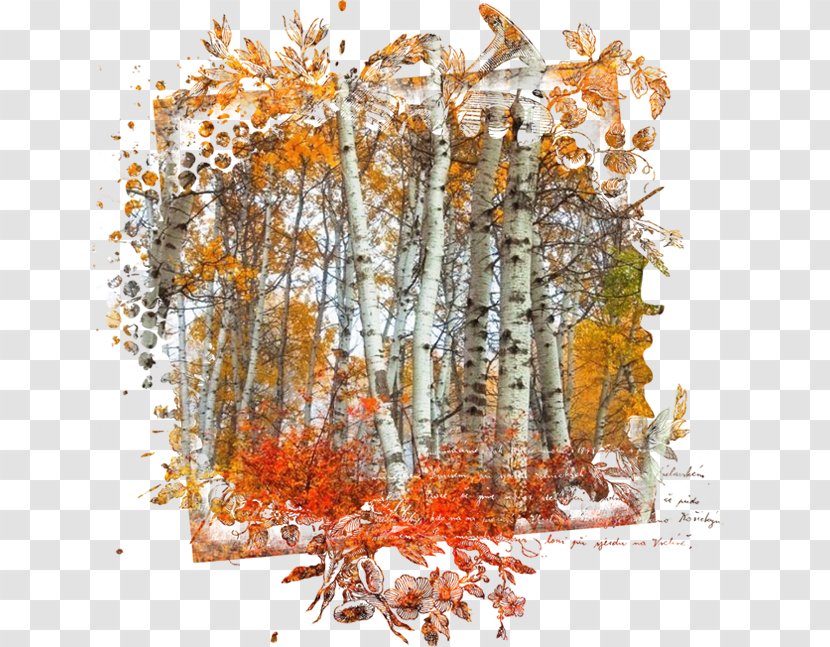 Autumn Collage Photography Clip Art - Watercolor Paint Transparent PNG